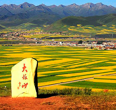 海北州-门源县-大阪山（门源百里油菜花海·观景台）风景区