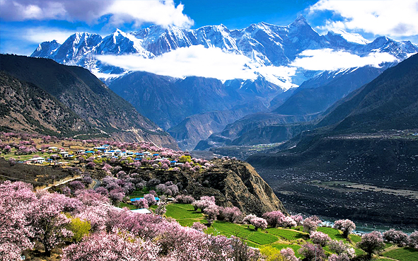 林芝市-米林市-派镇-索松村（南迦巴瓦峰观景台）桃花田园风景旅游区