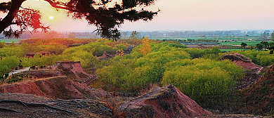 临沂市-郯城县-高峰头镇-麦坡（地震断裂带）风景区