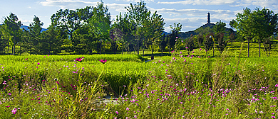 北京市-海淀区-两山公园（玉东郊野公园）