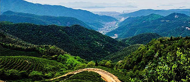 宁波市-宁海县-盖苍山·东海云顶风景区