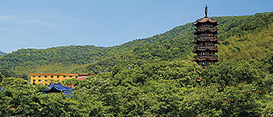 宁波市-鄞州区-瞻岐镇-慧日禅寺·风景区