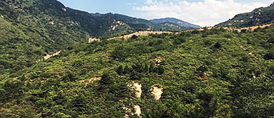 北京市-密云区-西田各庄镇-小水峪村（|明|小水峪长城）风景区