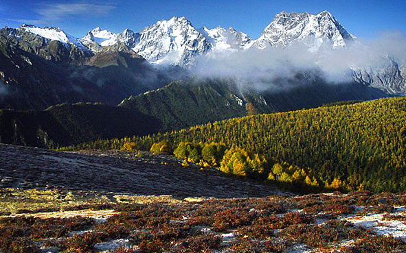 迪庆州-德钦县-白马雪山（5430米·高山杜鹃林）国家级自然保护区