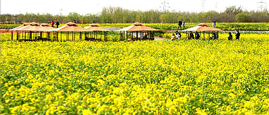 邢台市-沙河市-十里亭镇-红薯岭（油菜花海）·农业旅游区