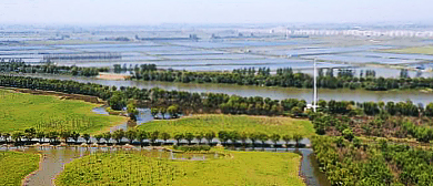 合肥市-肥西县-三河镇-木兰村-三河国家湿地公园·巢湖风景区