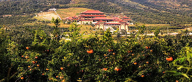 淮北市-烈山区-烈山镇-榴园村·四季榴园（中国石榴博物馆）风景旅游区|4A