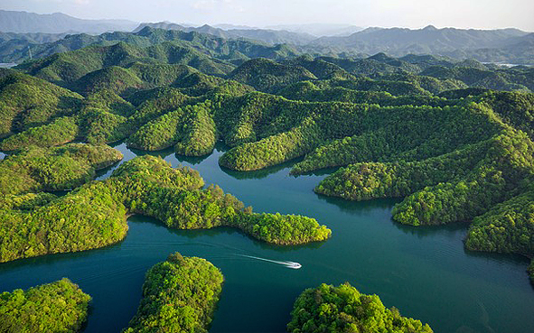 宣城市-宁国市-青龙湾（港口湾水库·青龙湾国家水利风景区·青龙湾国家森林公园）风景旅游区|4A