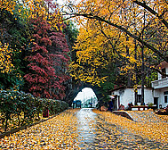 宣城市-宁国市-港口镇-山门洞风景旅游区|4A