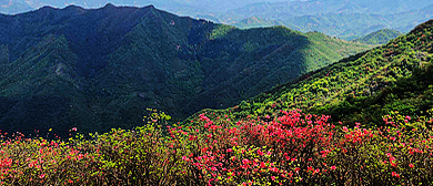 宣城市-宁国市-云梯乡-汤公山（花海）风景区