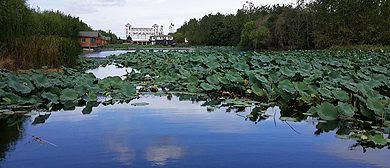 蚌埠市-怀远县-古城镇-四方湖水利风景区