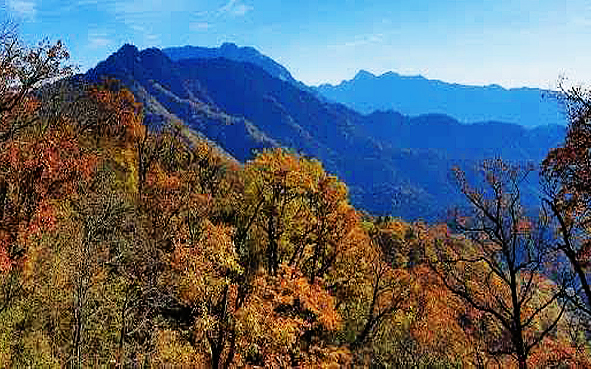 六安市-金寨县-花石乡-大别山·马鬃岭（天马国家级自然保护区）风景旅游区