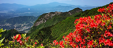 邵阳市-新邵县-迎光乡-十重大界（杜鹃花海）风景区