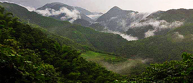 邵阳市-城步县-威溪乡-沙角洞（银杉森林公园）自然保护区