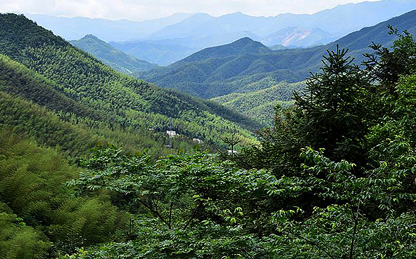 永州市-蓝山县-湘江源乡-蓝山（湘江源国家森林公园）风景旅游区