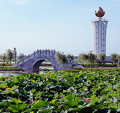 岳阳市-君山区-芙蓉国里·君山野生荷花世界（东洞庭湖湿地公园）|4A