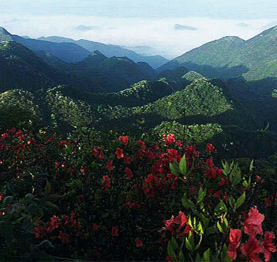 邵阳市-邵阳县-河伯乡-河伯岭（1455米）风景区