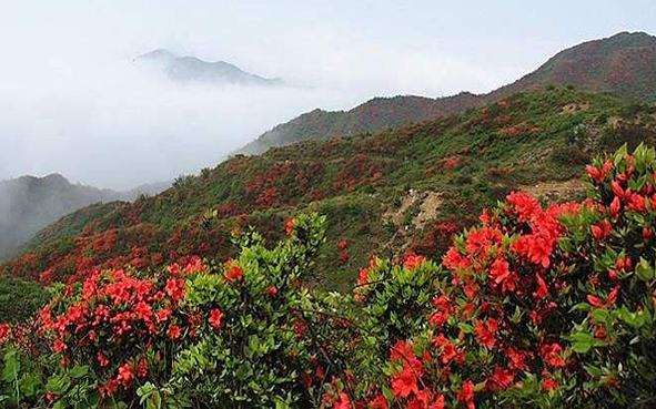 衡阳市-常宁市-天堂山（天堂山国家森林公园·1256米）风景旅游区