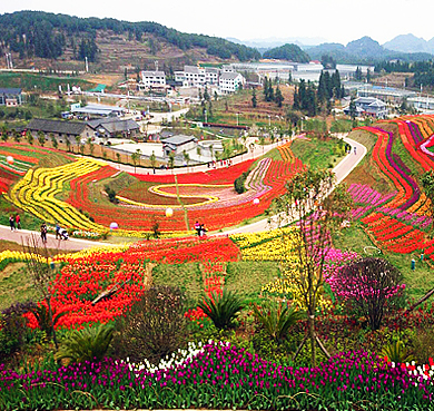 贵阳市-乌当区-羊昌镇-羊昌·花画小镇风景旅游区|4A