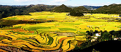 贵阳市-花溪区-高坡乡-扰绕村·扰绕大坡（梯田）风景区