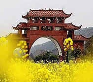 遵义市-绥阳县-洋川街道-诗乡门村（诗乡花海）风景区