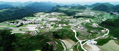 黔南州-龙里县城-冠山街道-大新村-大新梯田风景区