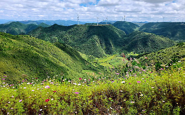 黔南州-龙里县-龙里油画大草原（湿地花海）风景旅游区|4A