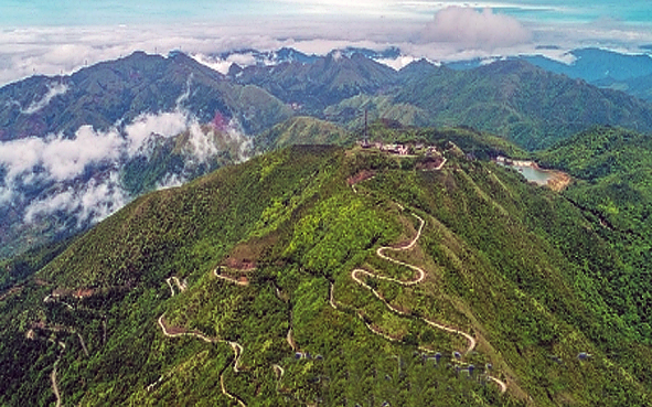 茂名市-信宜市-云开山（大田顶·1704米）国家级自然保护区