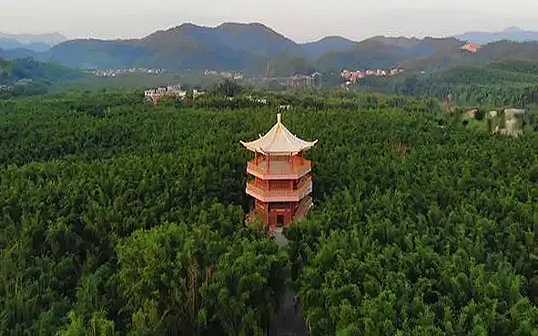 肇庆市-广宁县-竹海大观（广宁竹海国家森林公园）风景旅游区|4A