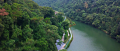 肇庆市-鼎湖区-凤凰镇-黄金沟生态风景旅游区