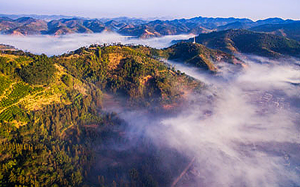 云浮市-云安区-富林镇-大云雾山（富林石林·麒麟洞）风景区