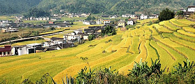 梅州市-蕉岭县-蓝坊镇-高思村（长寿村）风景旅游区