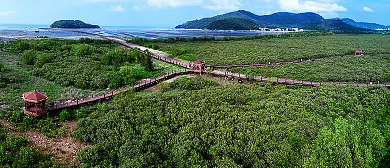 阳江市-江城区-闸坡镇-海陵岛红树林国家湿地公园·风景旅游区