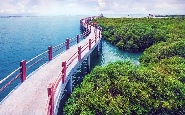 湛江市-霞山区-特呈岛国家级海洋公园·特呈岛（红树林）风景旅游区