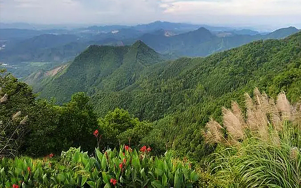 佛山市-高明区-杨和镇-皂幕山（佛山第一峰）风景旅游区|4A