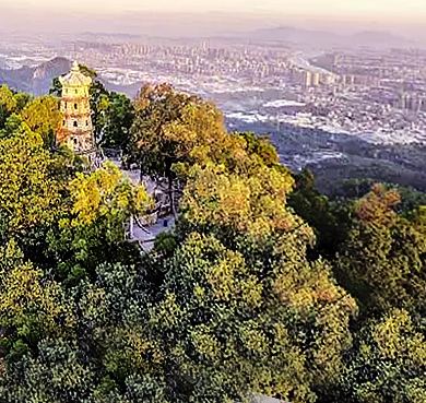 揭阳市-榕城区-黄岐山（岐山宝塔）森林公园