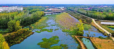 漯河市-舞阳县-沙河国家湿地公园