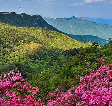 信阳市-新县-大别山·黄毛尖（1010米）风景区