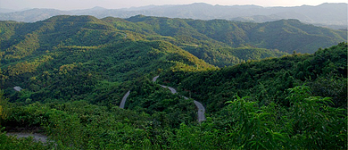 信阳市-光山县-南向店乡-大别山·王母观风景区