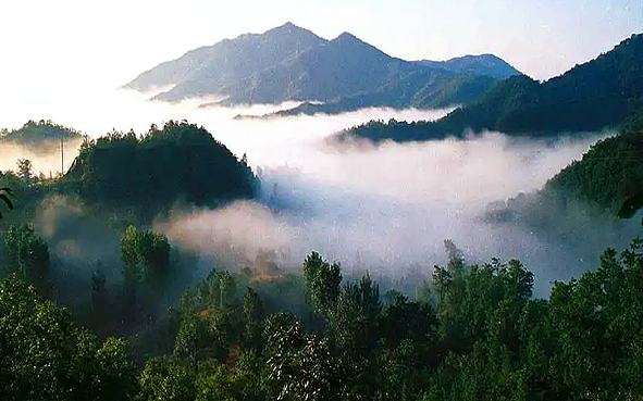 南阳市-桐柏县-桐柏山·淮河源（淮河源国家森林公园·淮源国家级风景名胜区）风景旅游区|4A