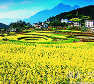 宜昌市-兴山县-古夫镇-龙池村