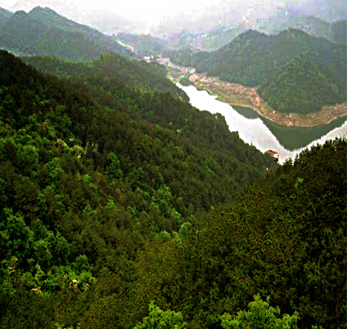 随州市-广水市-中华山国家森林公园