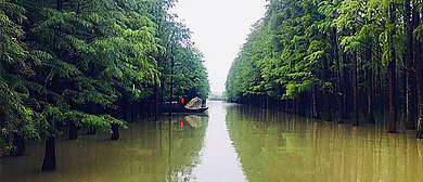 湖北省-仙桃市-赵西垸林场·梦里水乡风景旅游区|4A