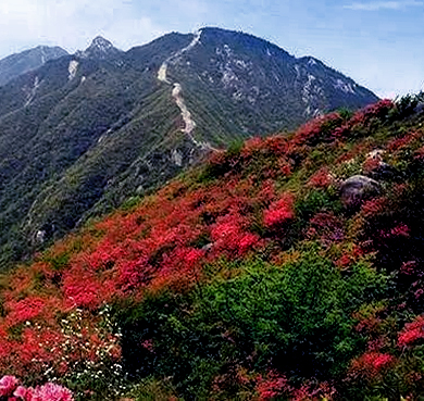 咸宁市-通城县-黄龙山风景旅游区