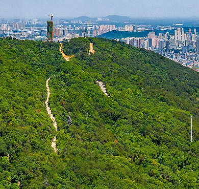 武汉市-江夏区-八分山风景旅游区