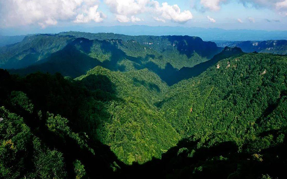 重庆市-石柱县-黄水镇-黄水国家森林公园·大风堡风景旅游区|4A