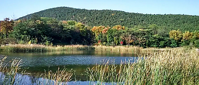 徐州市-泉山区-泉山森林公园