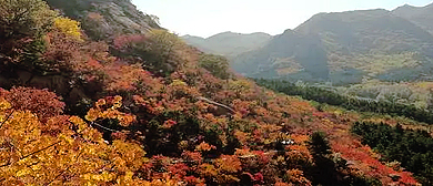 葫芦岛市-建昌县-白狼山（白狼山国家级自然保护区）风景区