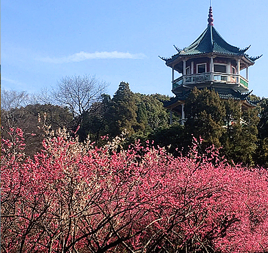 无锡市-滨湖区-梅园（|民|荣氏花园）横山风景旅游区|4A