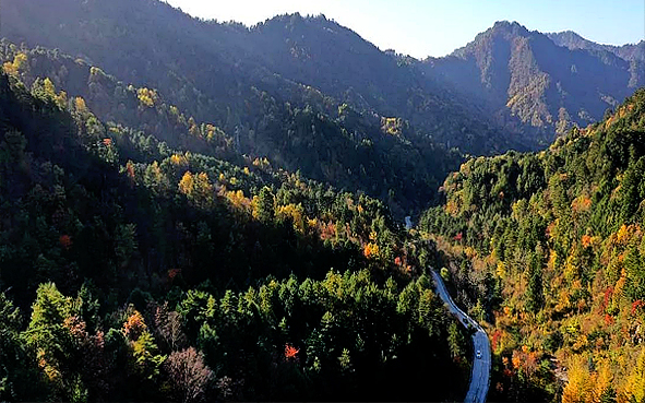 安康市-宁陕县-秦岭·平河梁国家级自然保护区